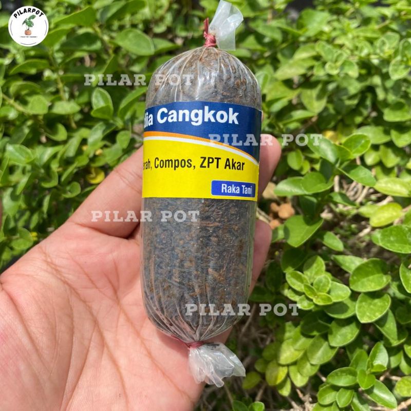 media mencangkok tanaman dalam plastik siap pakai alat cangkok - KECIL