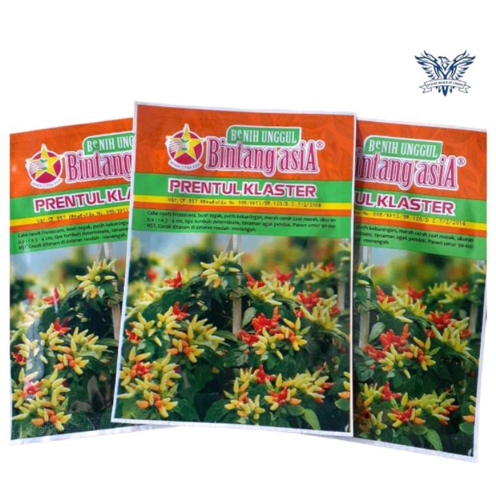 Benih cabe prentul klaster 10gram Bintang Asia