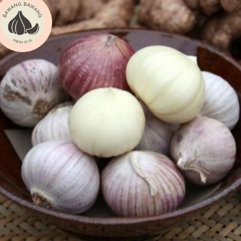 

Bawang Putih Tunggal Lanang Besar 1KG