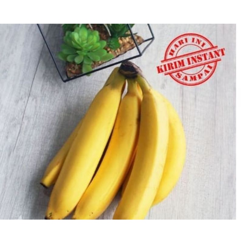 

Pisang Cavendish Sunpride [500 Gram]