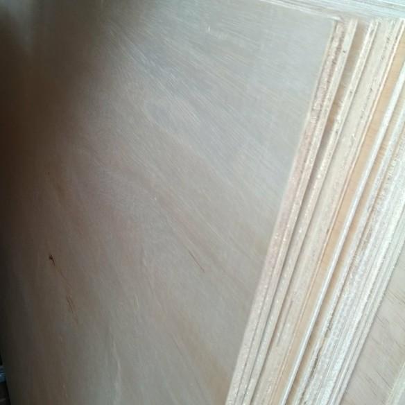 triplek untuk cor 8mm/9mm