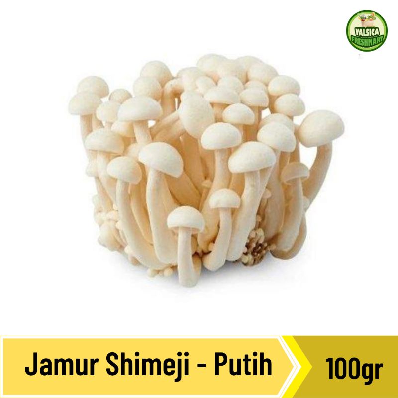 Jual Jamur Shimeji Putih Shopee Indonesia