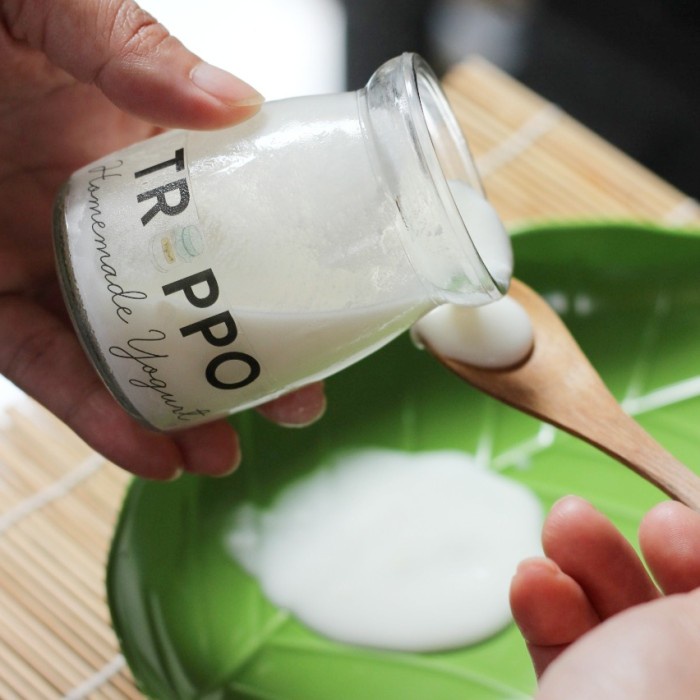 

yang dicari] Homemade Yogurt Troppo 500ml 1L