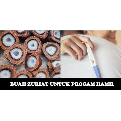 PROMIL SUAMI ISTRI BUAH ZURIYAT BELAH 1 KG UNTUK PROGAM HAMIL 100% ASLI Paket Zuriat Asli Mesir Dzuriat