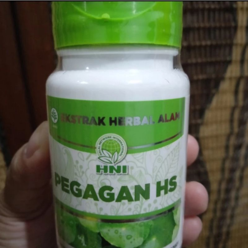 PEGAGAN HS HNI