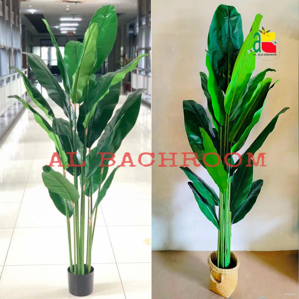 1 PAKET TANAMAN PISANG DAUN LATEX 170 CM DAN POT RB6079 TANAMAN ARTIFICIAL DEKORASI RUMAH