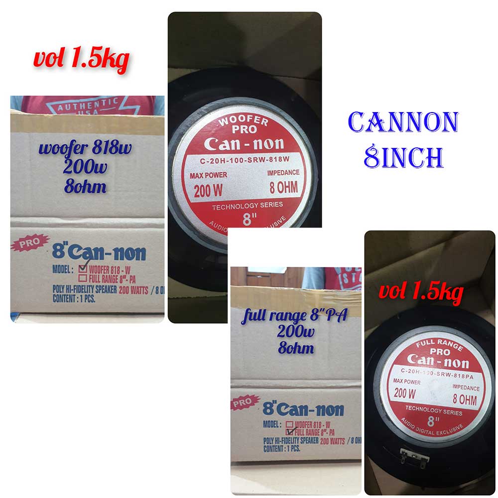 speaker 8inch Cannon can-non 818w dan 818pa bukan acr / curve