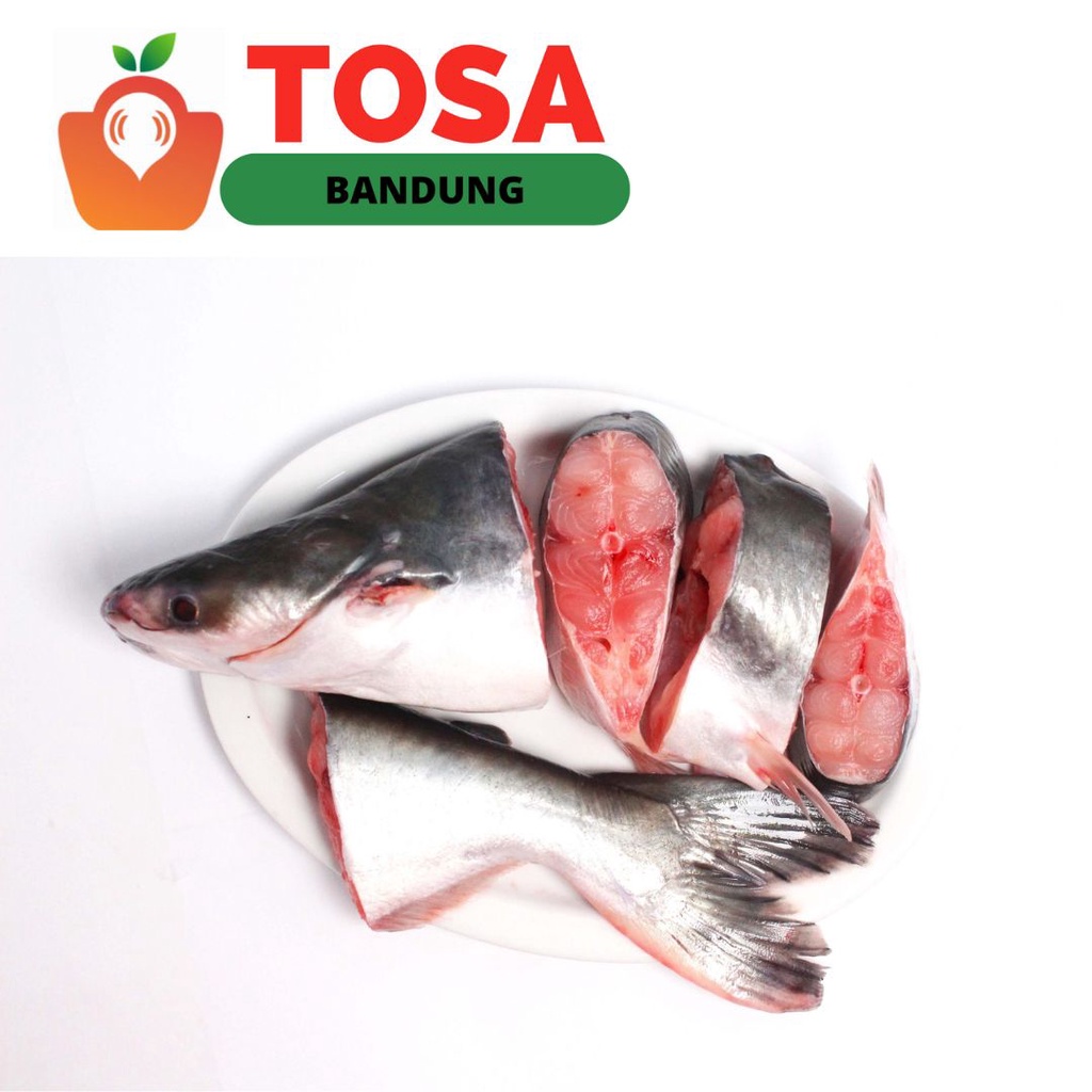 

Ikan patin potong 500gr