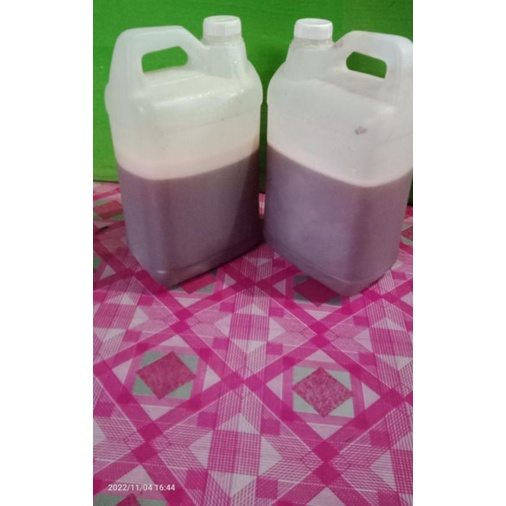

Madu hutan