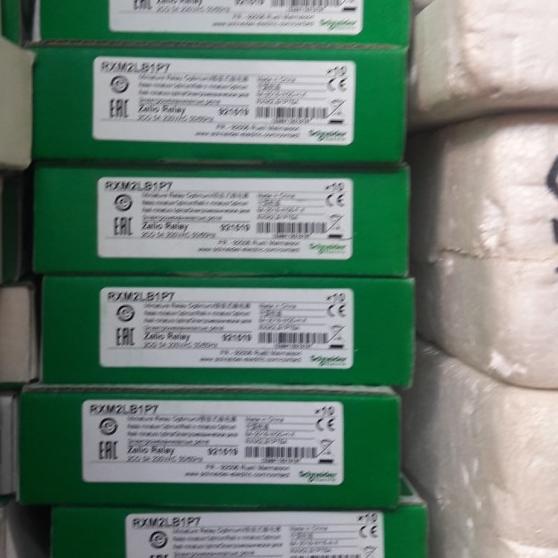 relay my2 schneider 220vac original