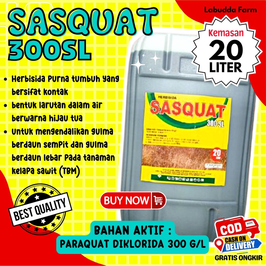 Herbisida Sasquat 300SL 20 Liter - Racun Rumput Paling Ampuh - Herbisida Kontak 20 Liter Paquat Dikl