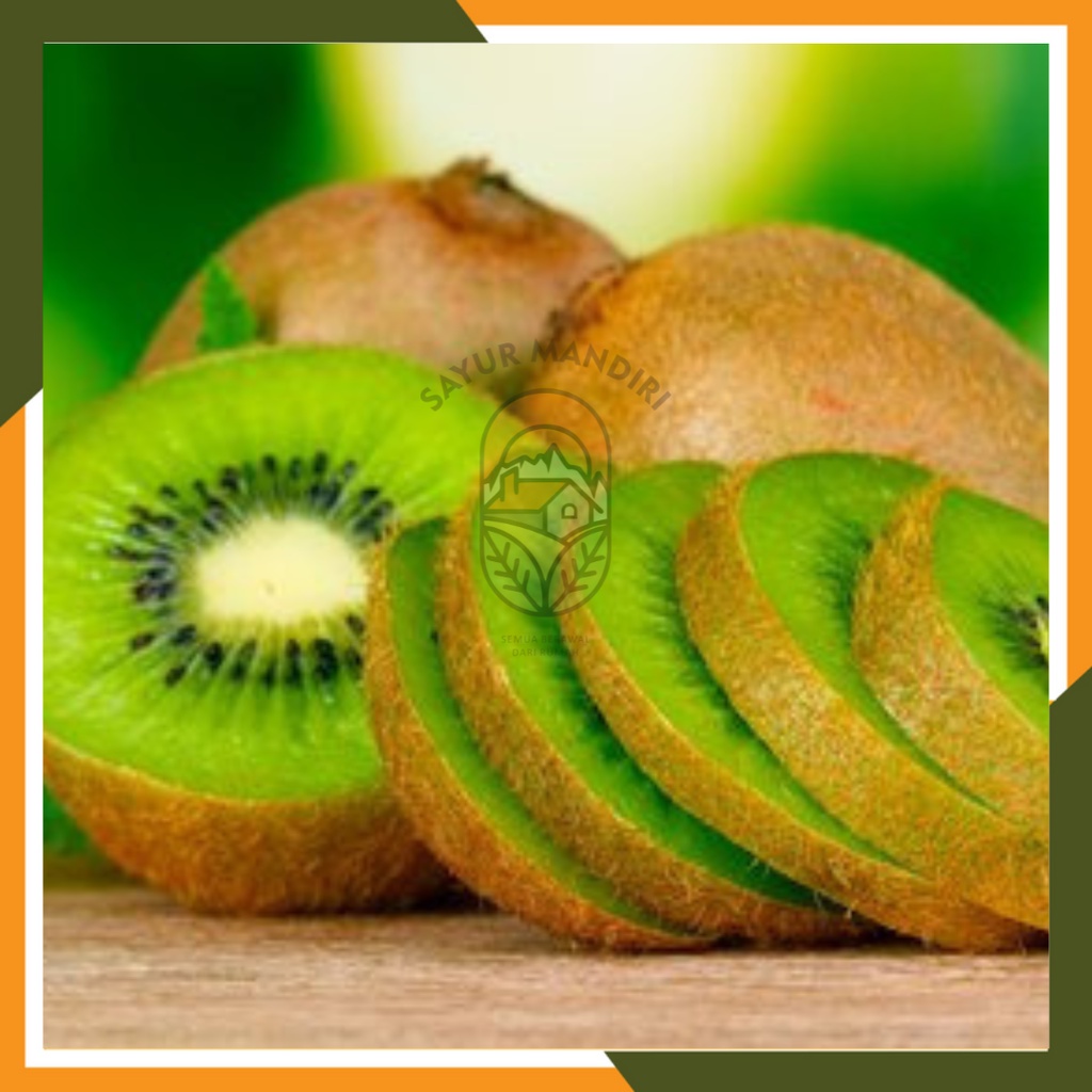 Benih Buah Kiwi Hijau Seribuan