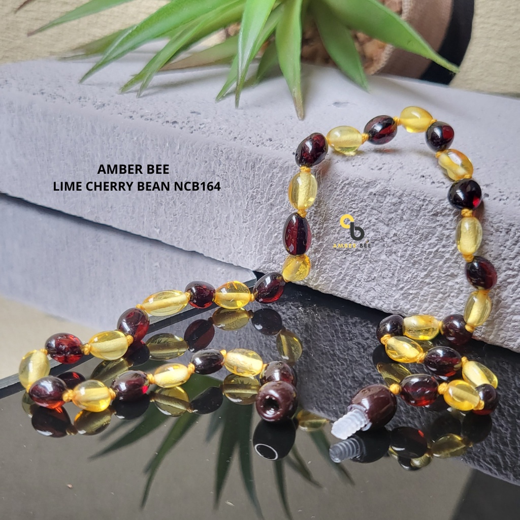 Kalung Amber Bayi Anak Tumbuh Gigi Premium Glossy Bean Lime Cherry NCB164 By Amber Bee