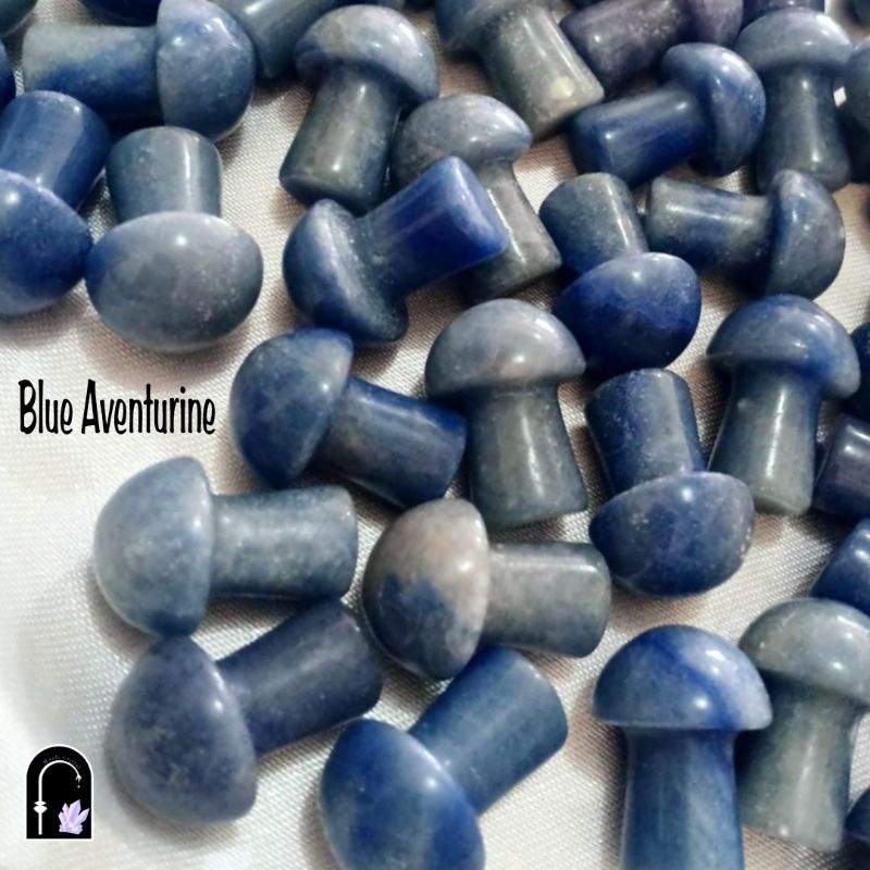 Mushroom Blue Aventurine Crystal Natural Stone
