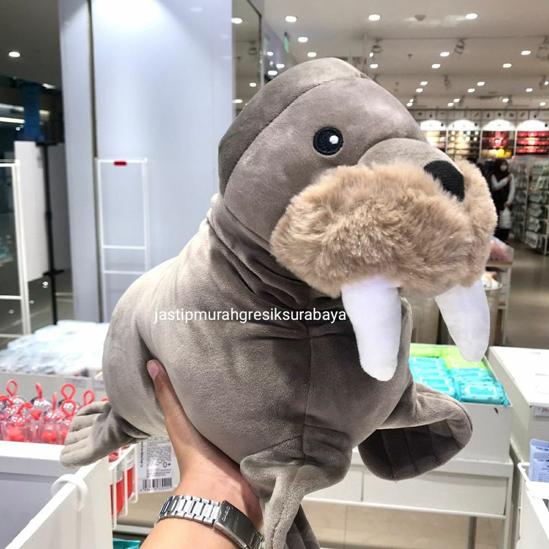 TAUPE BROWN WALRUS PLUSH TOY MINISO BONEKA ANJING LAUT MINISO