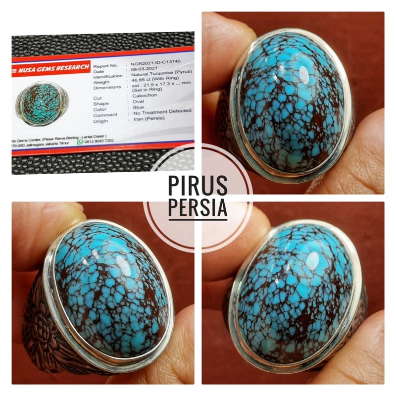 PIRUS PERSIA LAWASAN CEPLOK KURO IRAN