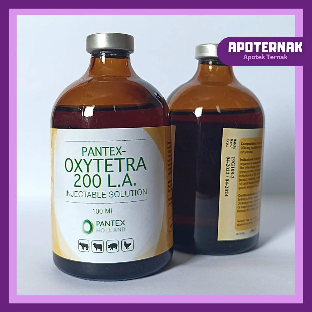 PANTEX OXYTETRA 200 LA | Obat Antibiotik Pencernaan &amp; Pernafasan Ternak | Setara Limoxin 200 LA | Pantex Holland