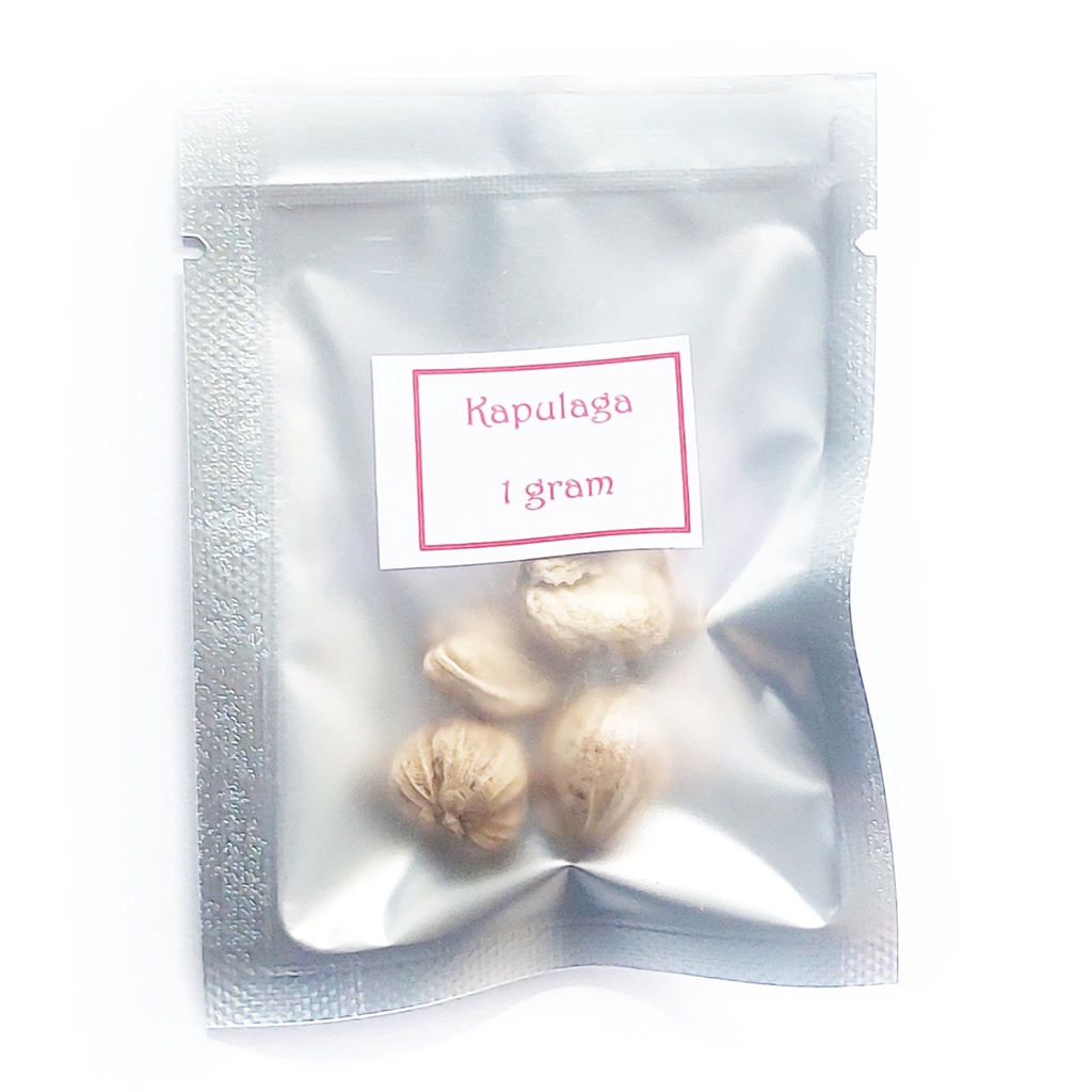 

Kapulaga / Kapolaga / Kapulaga Putih Halal Bisa COD bumbudapurbintang