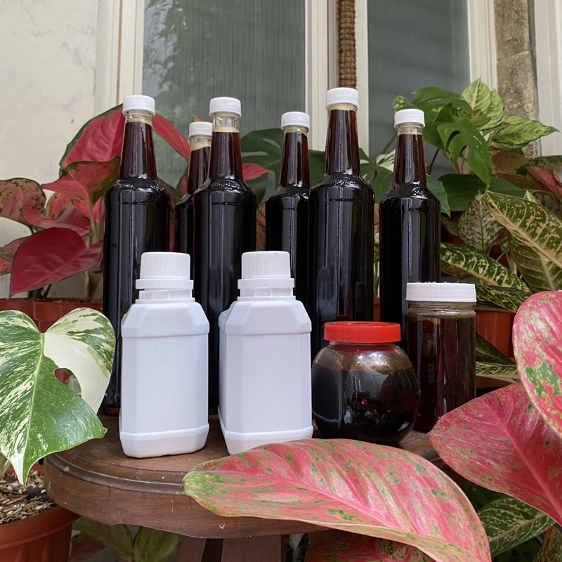 

MADU LEBAH MADU MURNI MADU ASLI MADU BERKHASIAT MADU KESEHATAN MADU SUPER MADU PROMO MADU MURAH MADU TERJANGKAU MADU WANGI MADU MANIS MADU AMAN DIABETES MADU TANPA PEMANIS MADU KEBUN MADU SIAP KIRIM MADU TUNTUNAN NABI RAW HONEY HONEY BEE