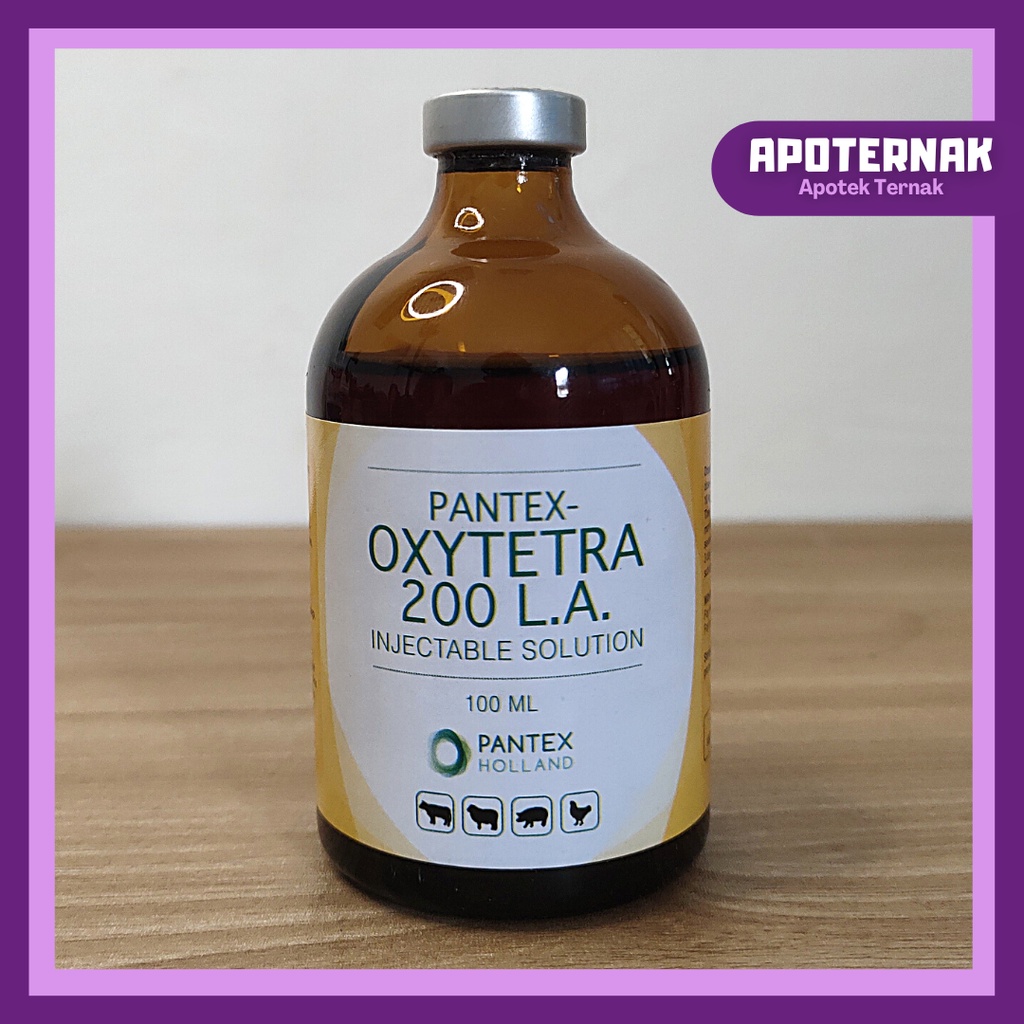 PANTEX OXYTETRA 200 LA | Obat Antibiotik Pencernaan &amp; Pernafasan Ternak | Setara Limoxin 200 LA | Pantex Holland