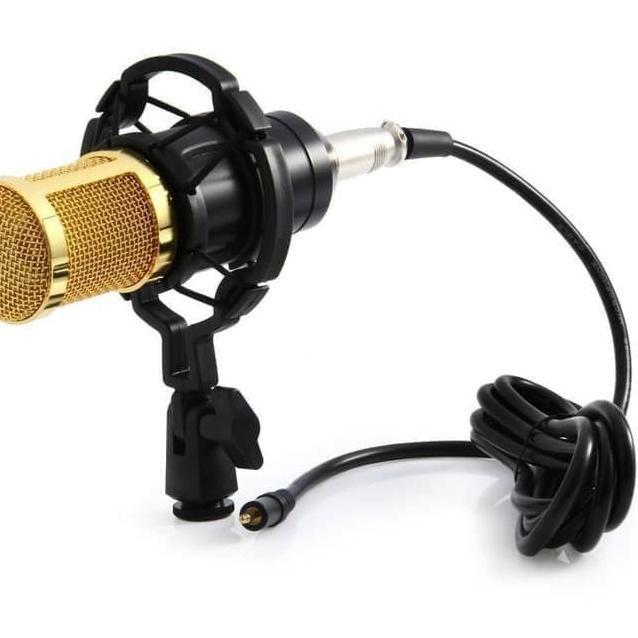Mic Recorder Condenser Laptop Karaoke Smule BM800 Microphone Condensor