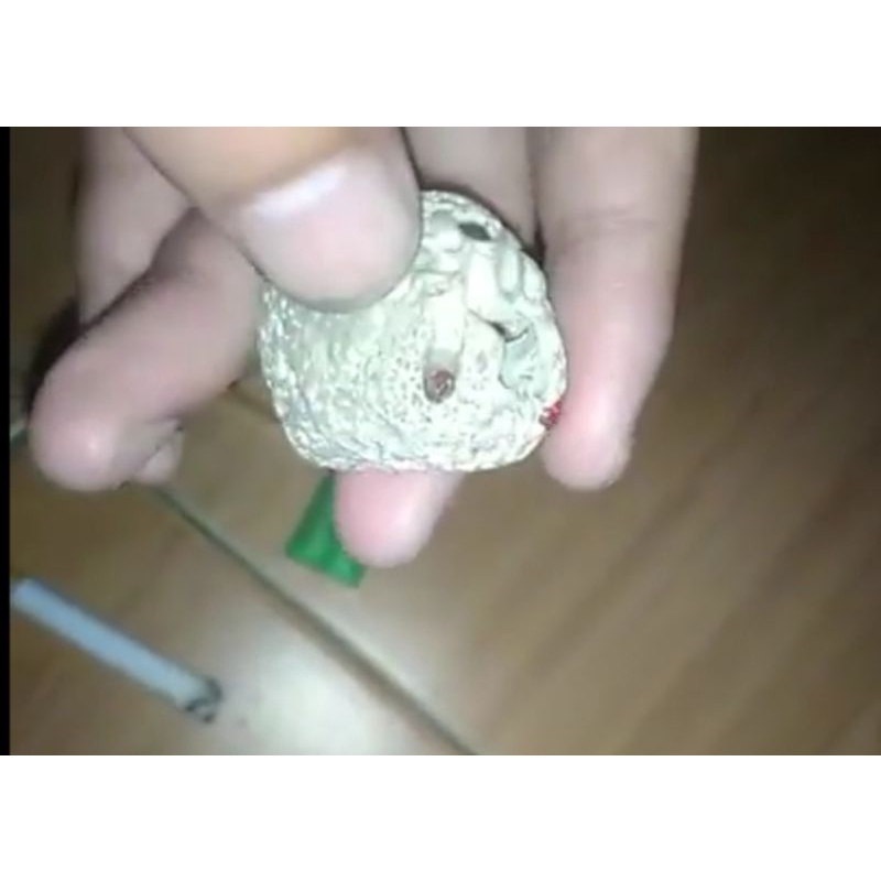 batu mustika merah tapa