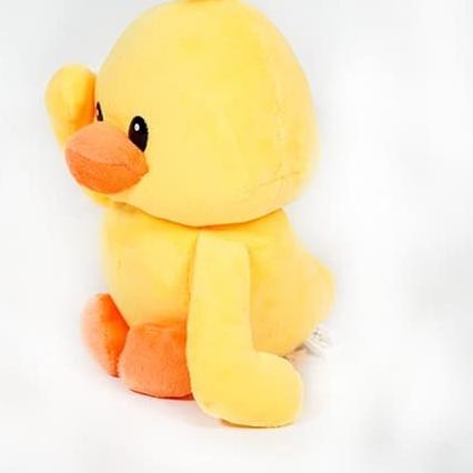 Boneka Bebek Duck Istana Boneka Bebek Okey Duck