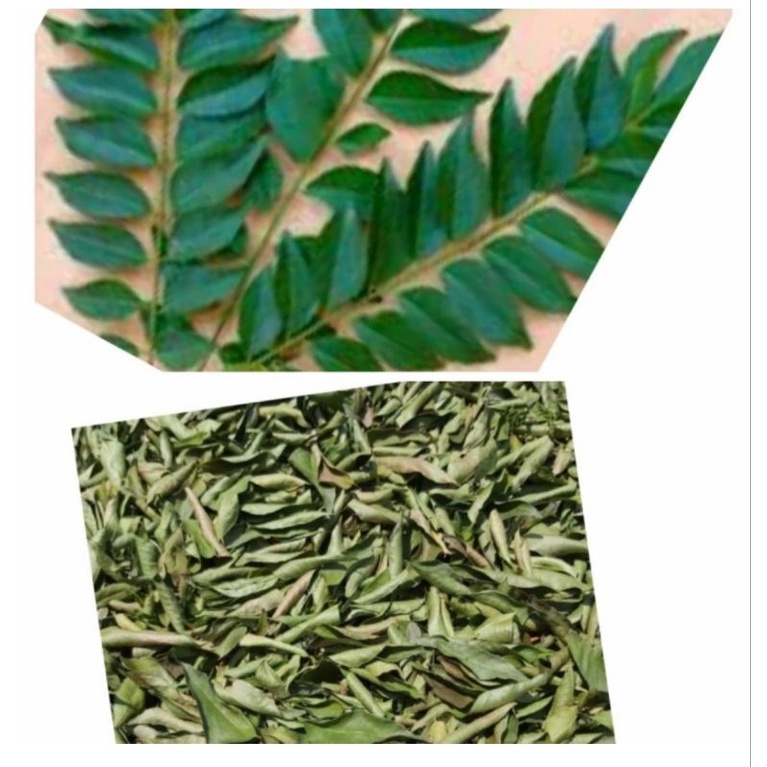 

daun kari kering/daun koja/temurai/50gram