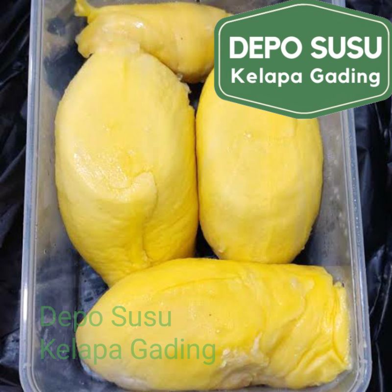 Durian Beku Motong Palu | Musang King | Malaysia D101 Duren Monthong Mochi import Premium Frozen Fresh Segar