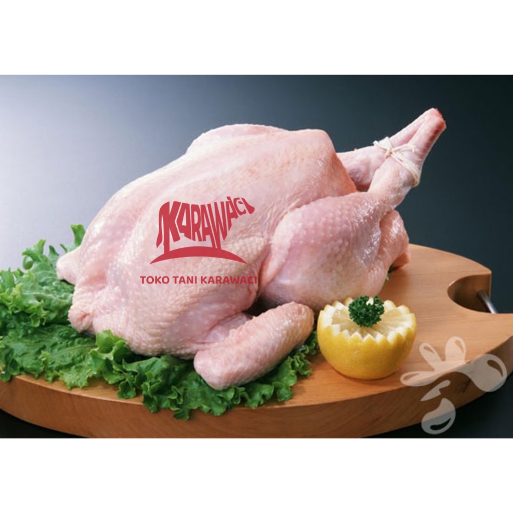 

Ayam Broiler Karkas / Ekor 0.7 - 0.8 Kg
