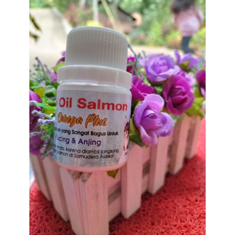 vit vet fish oil isi 50 tablet