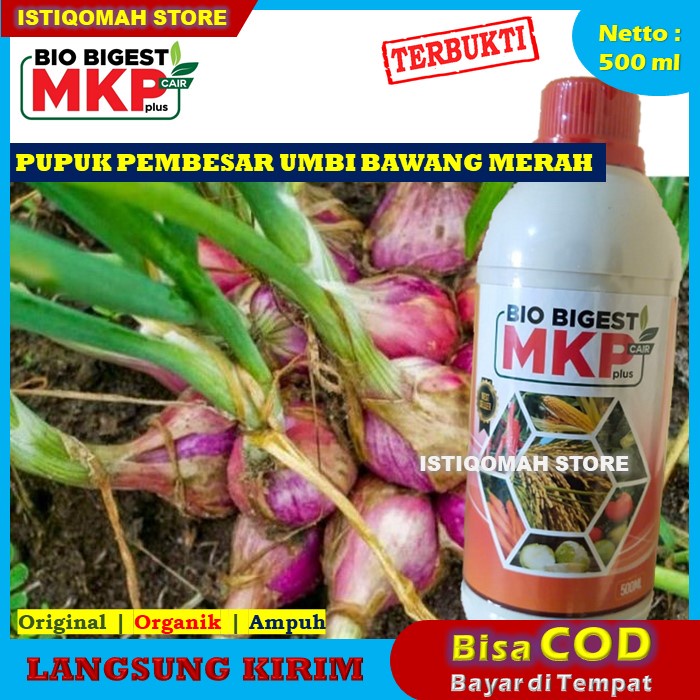 COD Bayar di Rumah BIO BIGEST MKP Cair Plus 500ml Pupuk Pembesar Umbi Bawang Merah Terbaik yang Bagus dan Ampuh BIOBIGEST MURAH TERLARIS - Obat Alami Pembesar Umbi Bawang Merah Manjur