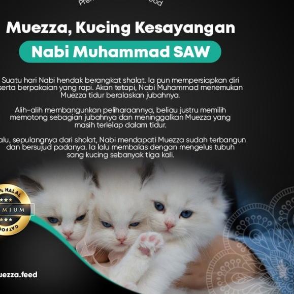 Makanan Kucing Kering - Salmon Flavor - Muezza Cat Food