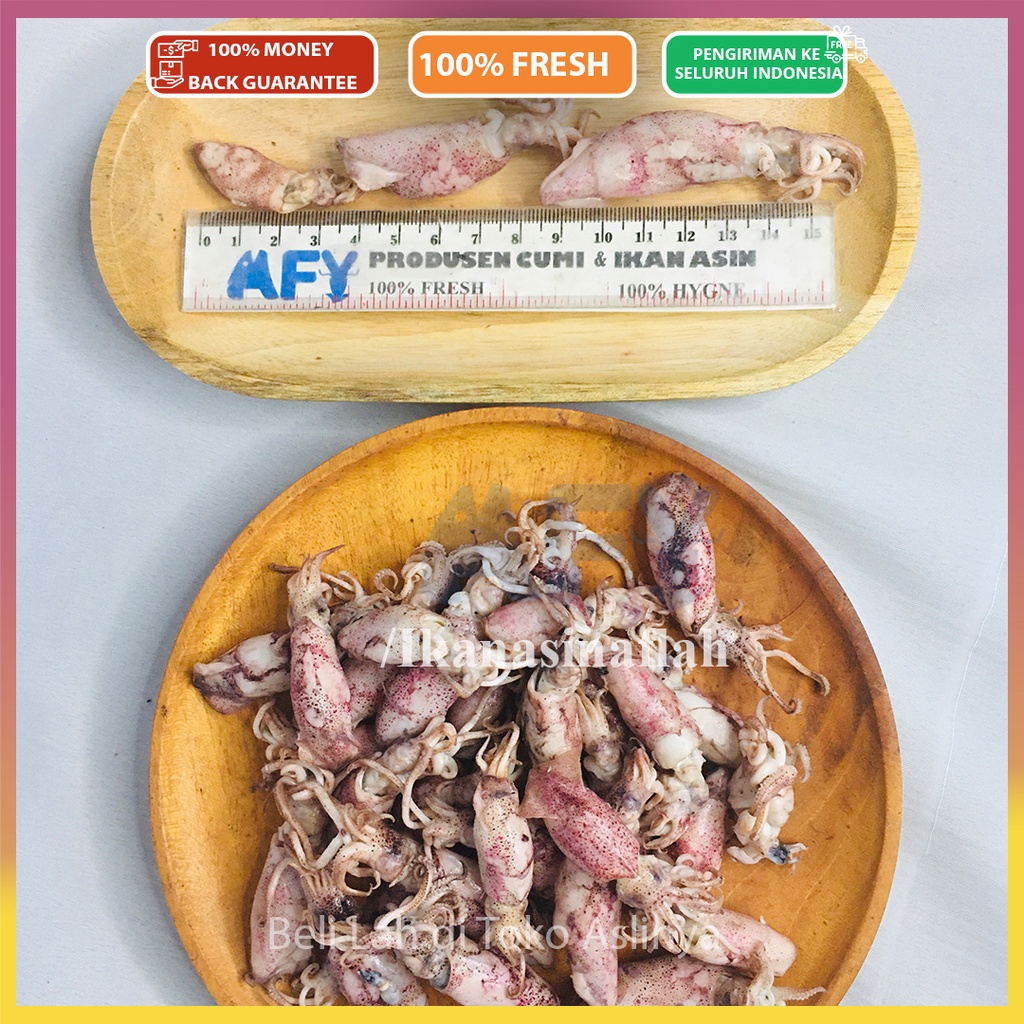 

Cumi Baby Rebus Asin - Cumi Asin 1Kg