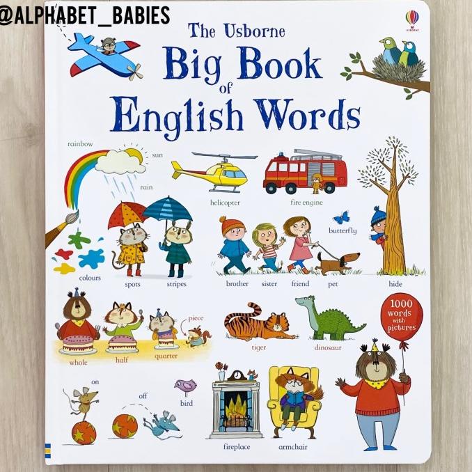 The Usborne Big Book Of English Words