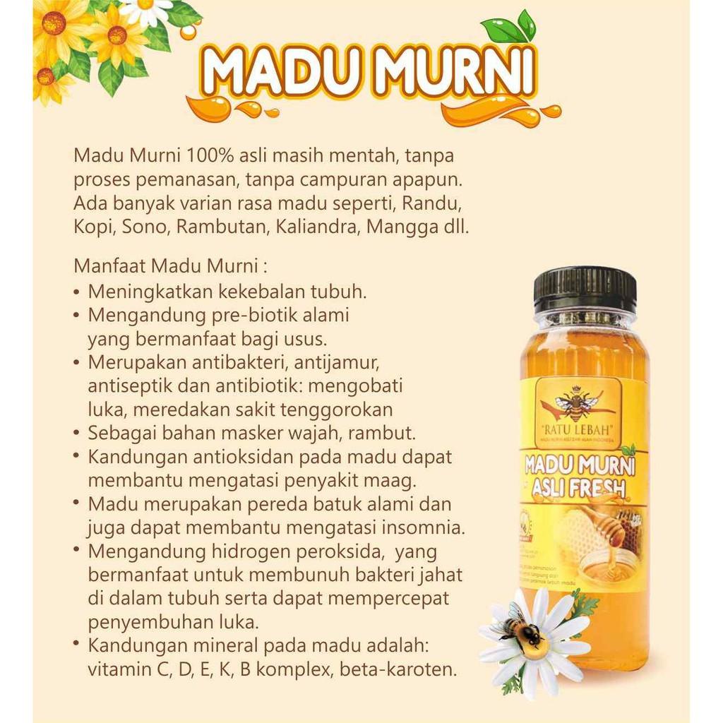 

Madu Murni Asli 250 Ml Fresh Garansi Uang Kembali Palsu Masih Mentah Raw Honey Best Seller