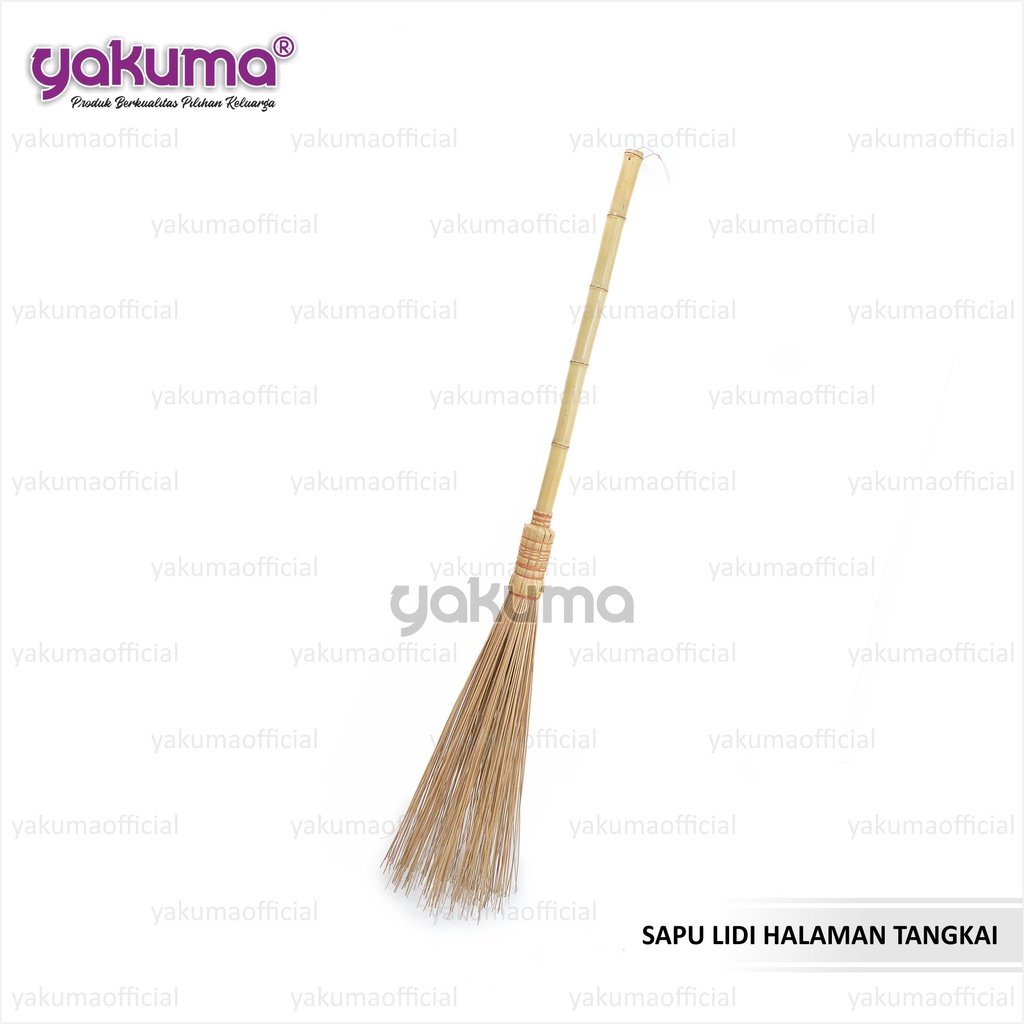 SAPU LIDI HALAMAN TAMAN GAGANG