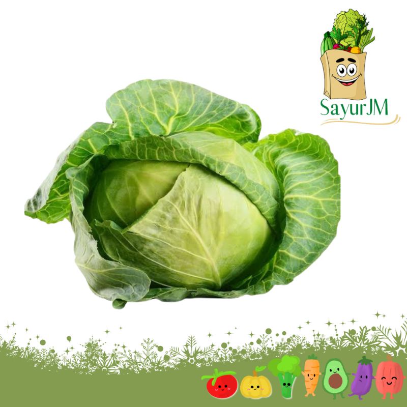 

SayurJM - Sayur Kol Import Segar ±700 - 1kg / Kol Per pcs