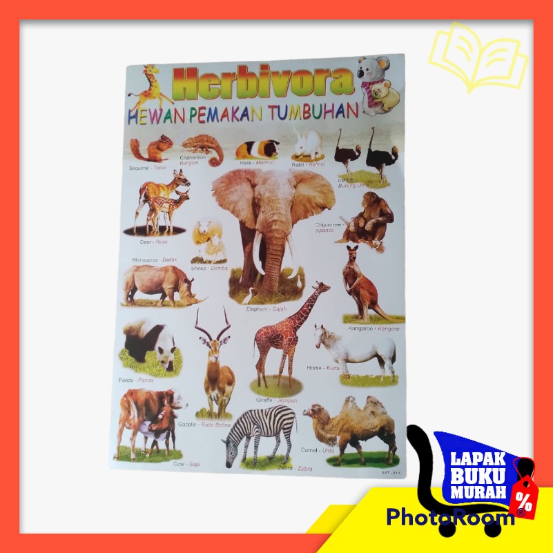 Poster Herbivora , poster hewan pemakan tumbuh-tumbuhan , poster mengenal nama-nama binatang