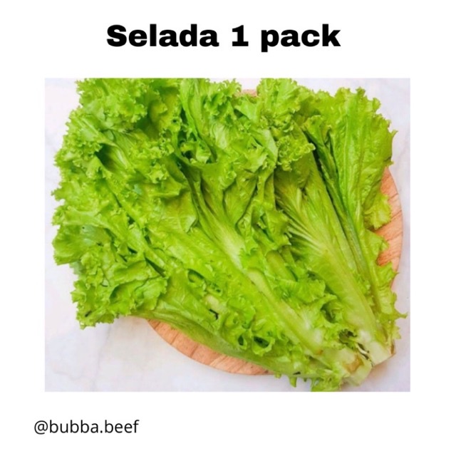 

Selada 1 pack I Sayur selada segar