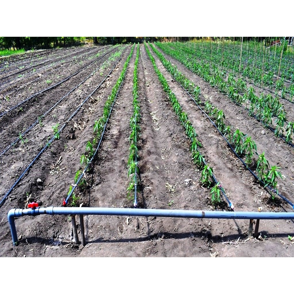 Selang Drip Irigasi Tetes Pertanian Hitam 5 10 15 Mikron Lebar 4 Cm Panjang 100 Meter Untuk Pipa 3/4 Inch