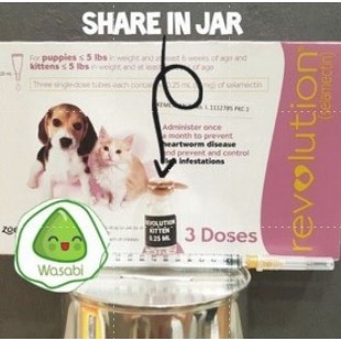 REPACK Obat kutu Revolution Cat Untuk Kucing Anjing Dog Puppy kitten anakan