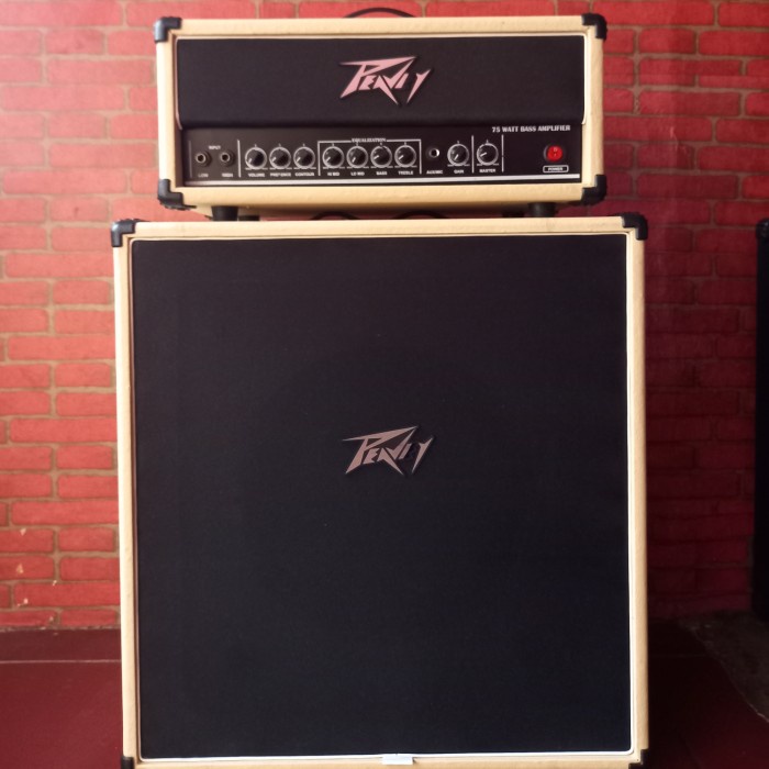 Amplifier Ampli Head Cabinet Akustik & Bass Custom