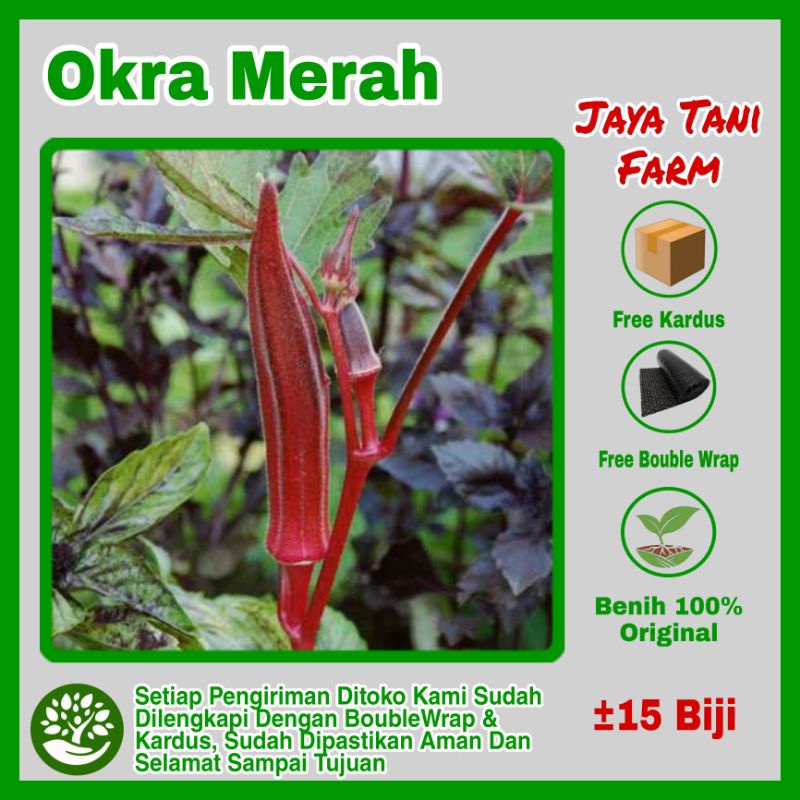 15 Biji Benih Sayuran Okra Merah Unggulan / Bibit Sayuran / Bibit Tanaman / Biji Sayuran / Benih Okr