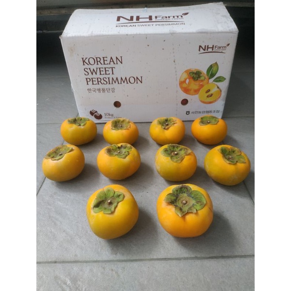 

Persimmon / Kesemek Korea (10 Kg) Fresh Import