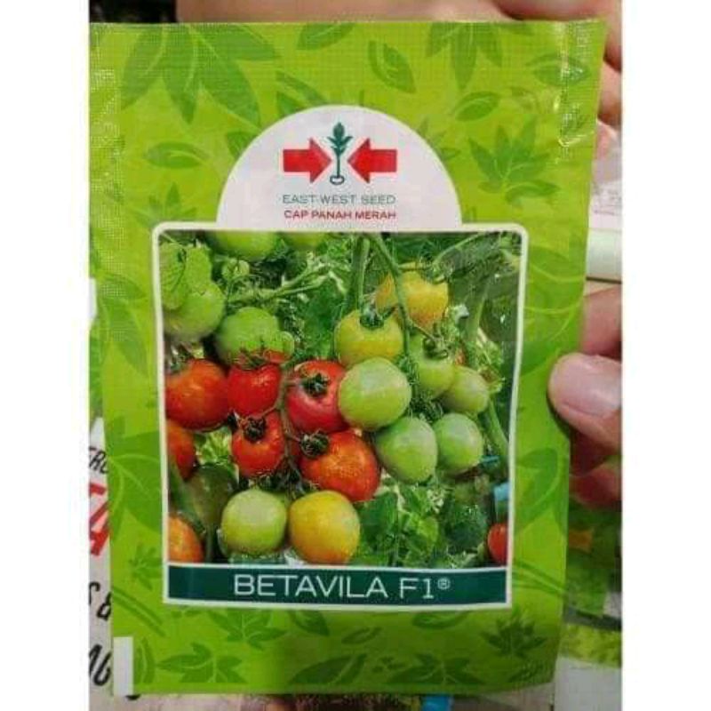 Benih bibit Tomat BETAVILA F1 1750 butir