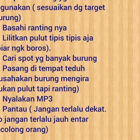 PULUT BURUNG KILOAN JEBAKAN BURUNG LEM BURUNG GETAH KARET JEBAK BURUNG