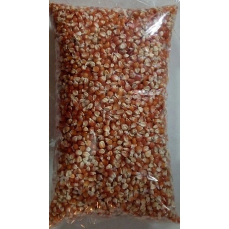 Jagung Kecil | Jagung Kristal | jagung pakan ayam | jagung pakan burung merpati -  dara - derkuku ke