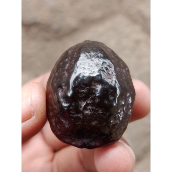 Muncang adu jawa malangbong