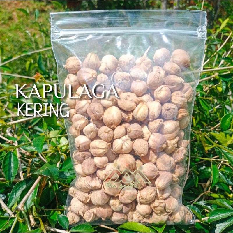 

Kapulaga 500g
